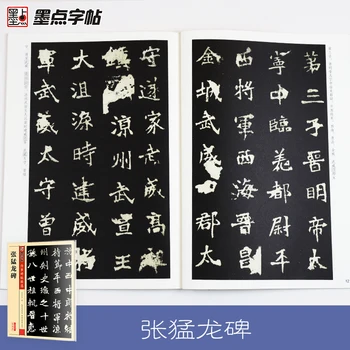 Copybook Ķīniešu Otu Kaligrāfijas Rakstības Akmens Uzraksts Berzes Apritē Tablete Zhang Menglong Stele Pieaugušo Mācīties